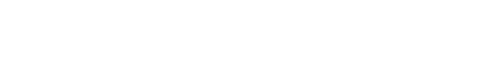 DS_Ltd_Logo_White_RGB